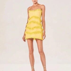 ALEXIS FIONIA DRESS SIZE XS